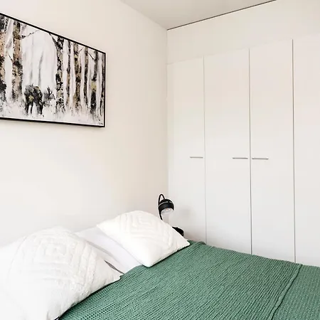 Viola 로바니에미