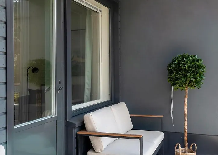 Viola * 罗瓦涅米